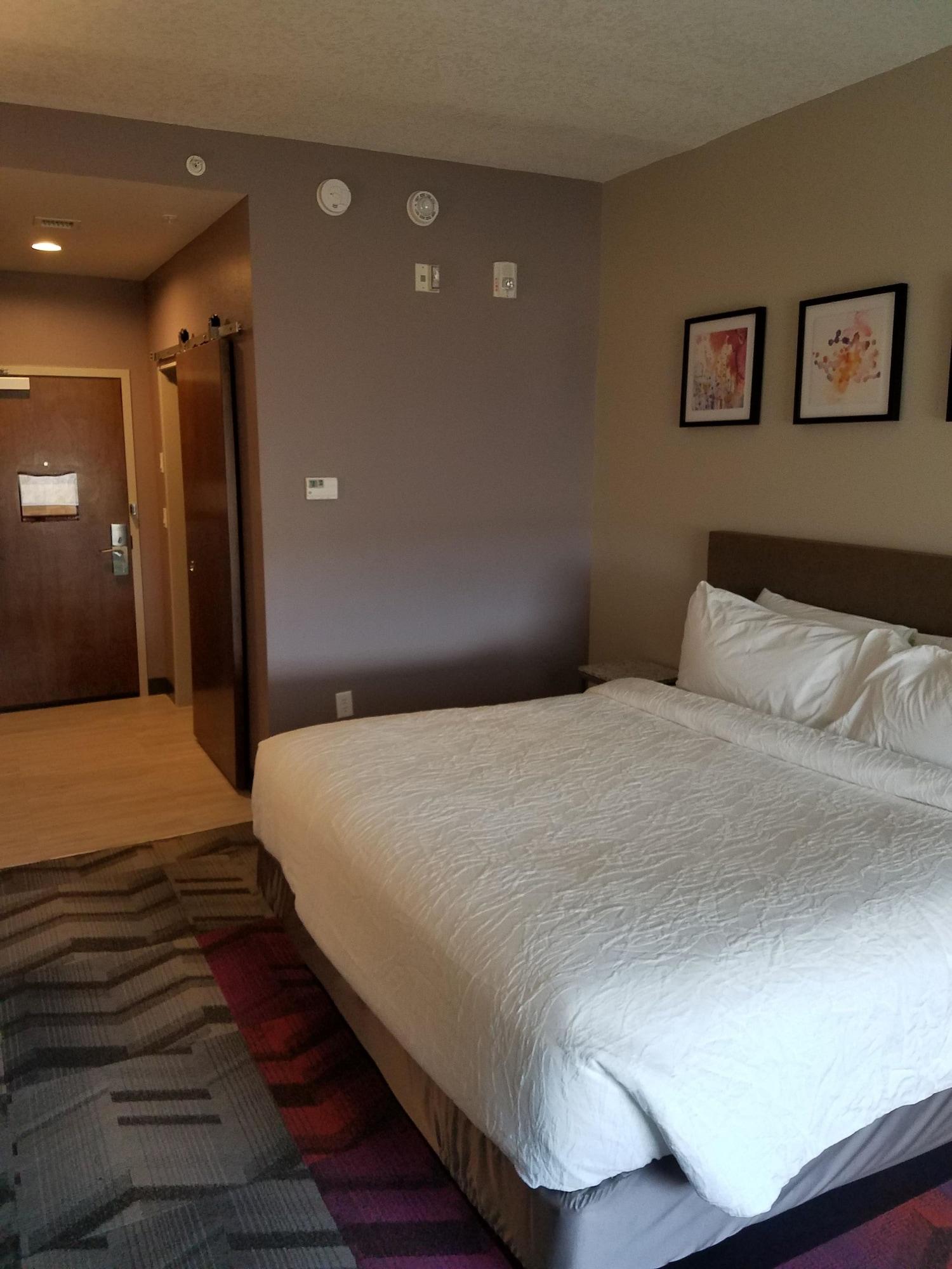 Hilton Garden Inn Tampa Suncoast Parkway Lutz Εξωτερικό φωτογραφία