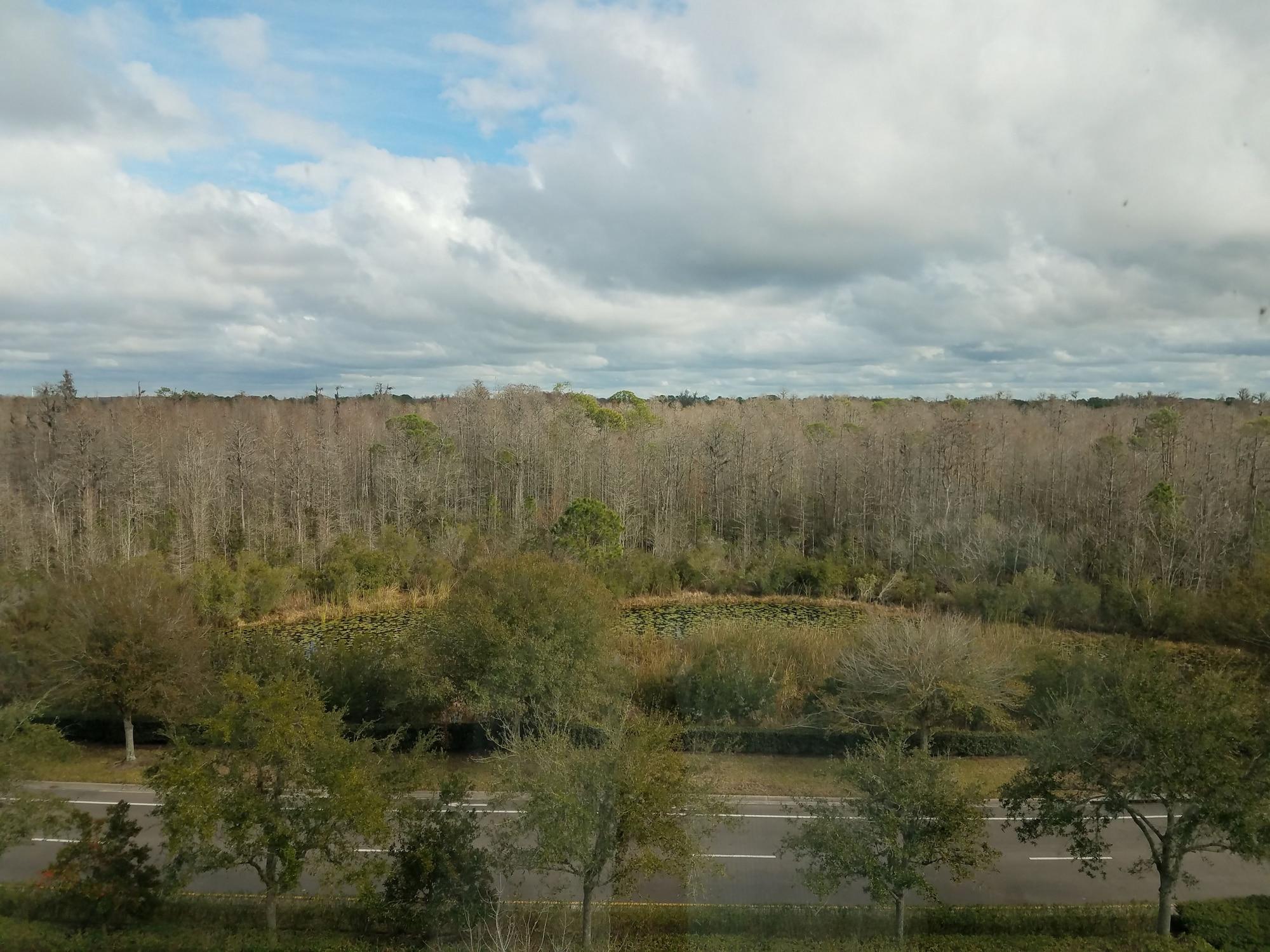 Hilton Garden Inn Tampa Suncoast Parkway Lutz Εξωτερικό φωτογραφία