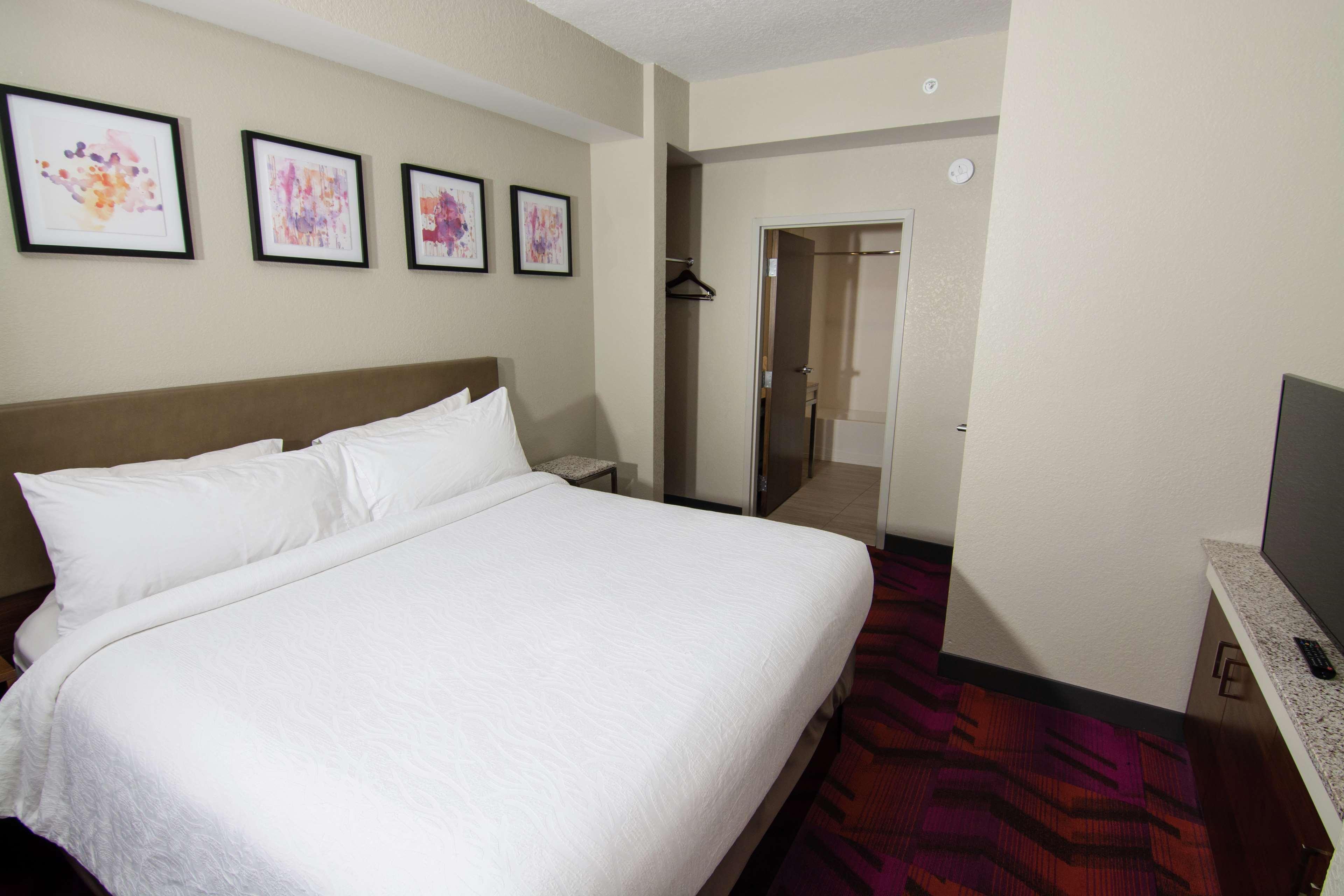 Hilton Garden Inn Tampa Suncoast Parkway Lutz Εξωτερικό φωτογραφία