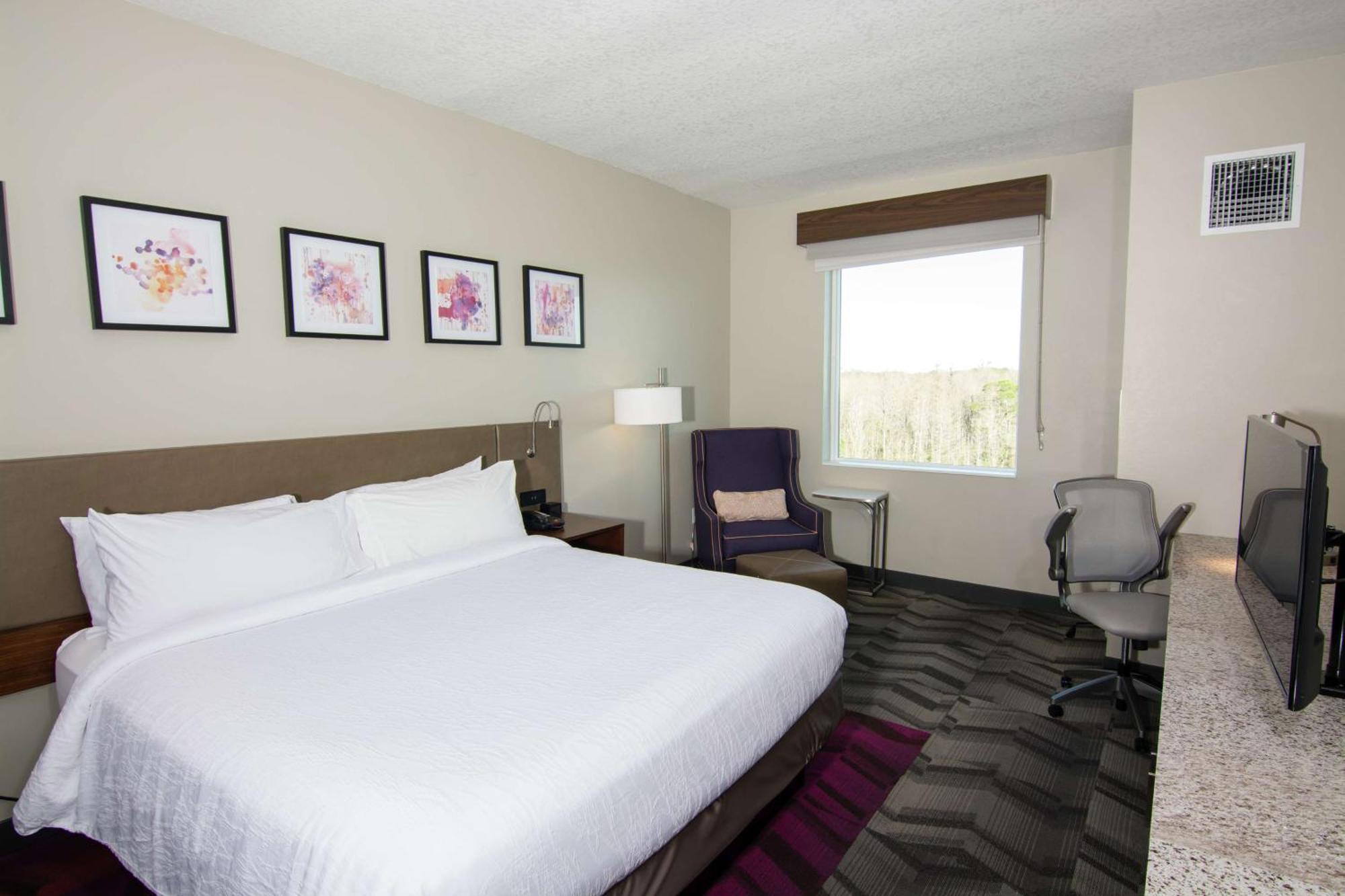 Hilton Garden Inn Tampa Suncoast Parkway Lutz Εξωτερικό φωτογραφία